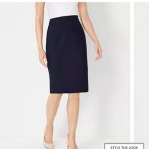 Ann Taylor Women's Navy and Blue Skirt